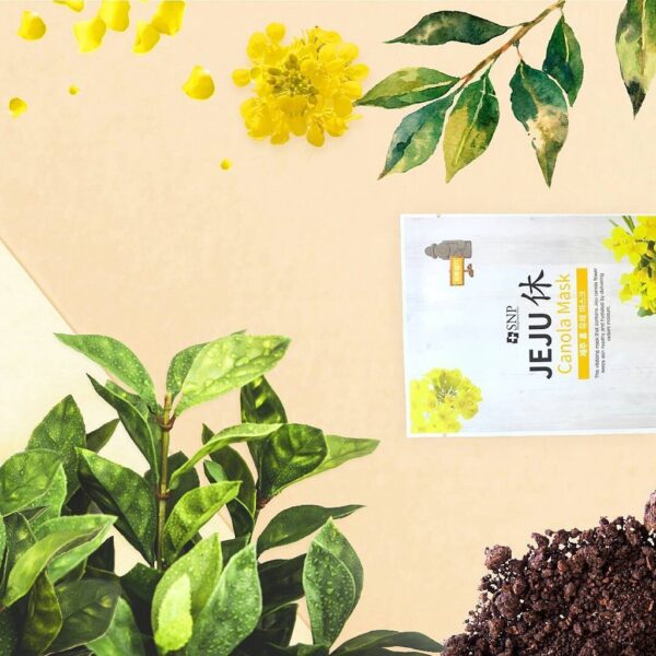 Mặt Nạ Dưỡng Da Tinh Chất Hoa Jeju Canola | Mỹ Phẩm Hàn Quốc